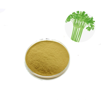 Free sample free sample celery extract powder celery juice powder